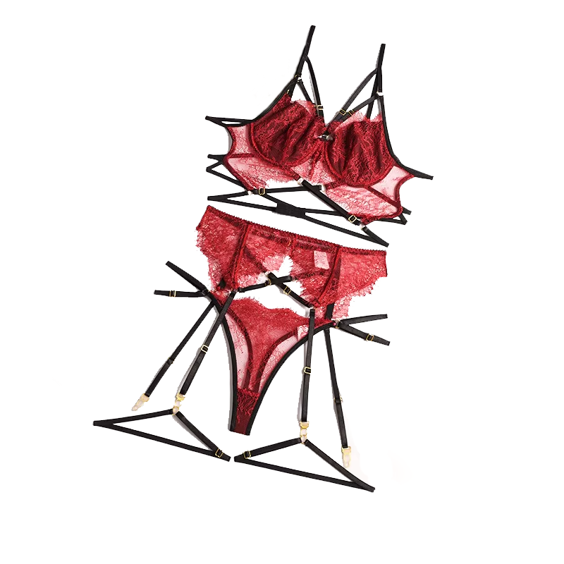 New Lace Sexy Lingerie Transpa - Sheer Bra Lace ulasan dan harga